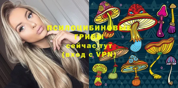 амф Алексин