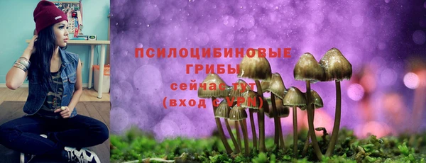 амф Алексин