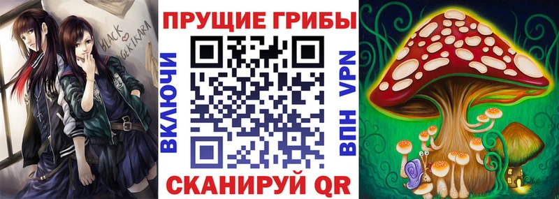 закладка  Ликино-Дулёво  Галлюциногенные грибы мицелий 