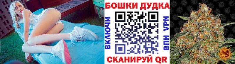 Конопля гибрид Ликино-Дулёво